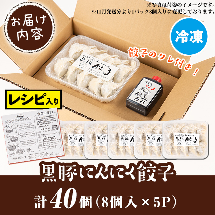 Z6-01 ＜2025年12月発送分(12月中に発送)＞黒豚にんにく餃子(計40個・8個入り×5P) 伊佐市 特産品 鹿児島 生餃子 ギョウザ 黒豚 豚肉 冷凍食品 おかず おつまみ 惣菜 小分け 焼くだけ 簡単調理 冷凍便 【工房ゆう】