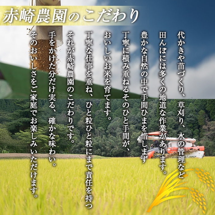 isa845 鹿児島県産ひのひかり・あきほなみ食べ比べセット(各5kg・合計10kg) 国産 鹿児島県 米 お米 白米 伊佐米 ひのひかり あきほなみ 食べ比べ セット 【赤崎農園】