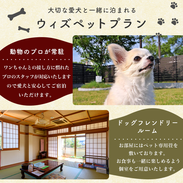 isa812 お宿秀泉 愛犬と泊まれる1名様宿泊券(黒毛和牛ステーキ含む朝夕2食付) 鹿児島県 伊佐市 宿泊 宿泊券 宿泊チケット 旅行 天然温泉 伊佐米 黒毛和牛 ステーキ 愛犬 犬 同伴可 【お宿秀泉】