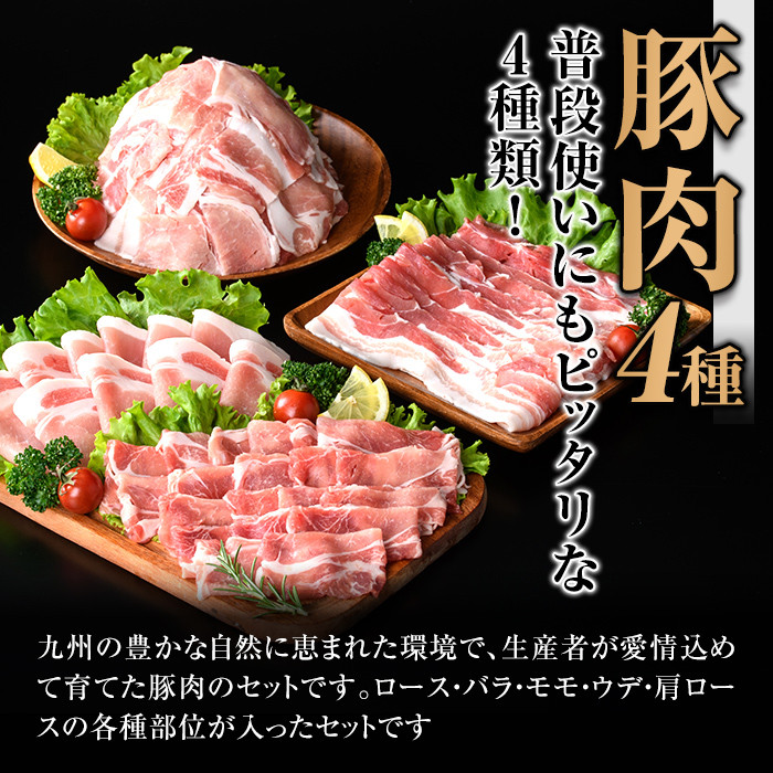 isa429 【寄附完了月の月末までに発送！】九州産 豚肉4種セット (合計2.25kg) 国産 切り落とし バラスライス 肩ロース ロース しゃぶしゃぶ 生姜焼き 真空包装 真空パック ファスナー 小分け ぶたにく 豚 肉 詰合せ 詰め合わせ 冷凍 【サンキョーミート株式会社】