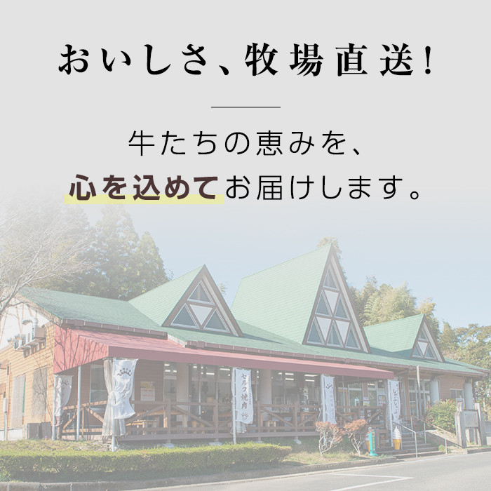 C0-01 ＜5等級＞鹿児島県産黒毛和牛ローススライス(計800g・400g×2パック)鹿児島 九州産 牛肉 国産 BBQ キャンプ アウトドア 贈り物 霜降り冷凍 冷凍便【お肉の直売所 伊佐店】