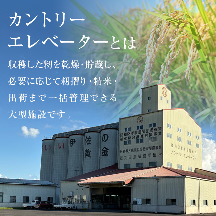 A6-02 いさひかり無洗米(5kg×2袋・計10kg) ふるさと納税 伊佐市 特産品   お米 米 白米 精米 伊佐米 ご飯 ヒノヒカリ 無洗米【JA北さつま】