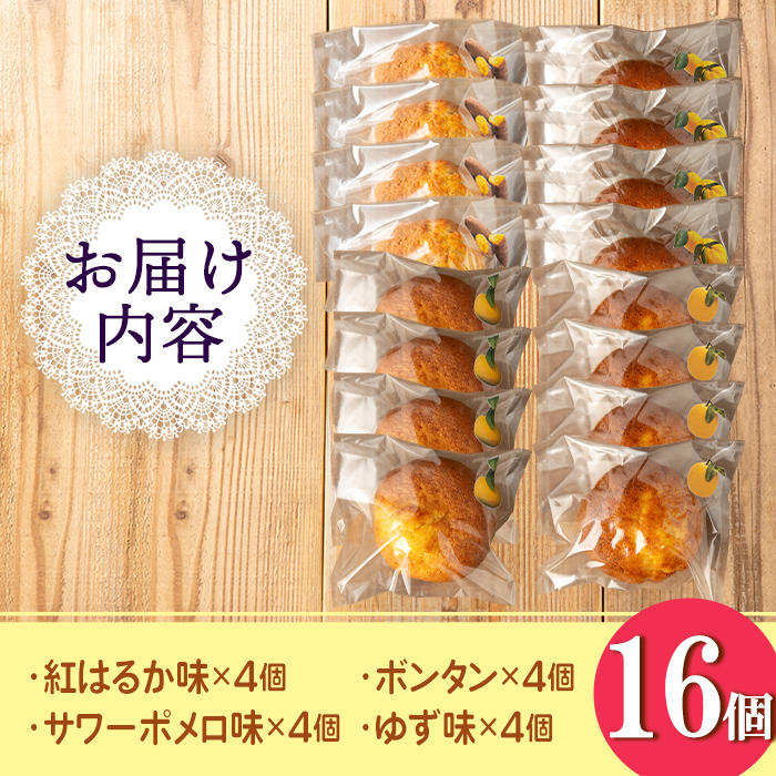 isa939 ジャム菓子 まあるいセット(16個) 詰め合わせ 洋菓子 菓子 焼き菓子 ケーキ ジャム ギフト 紅はるか ボンタン ゆず サワーポメロ 【薩摩美食倶楽部】