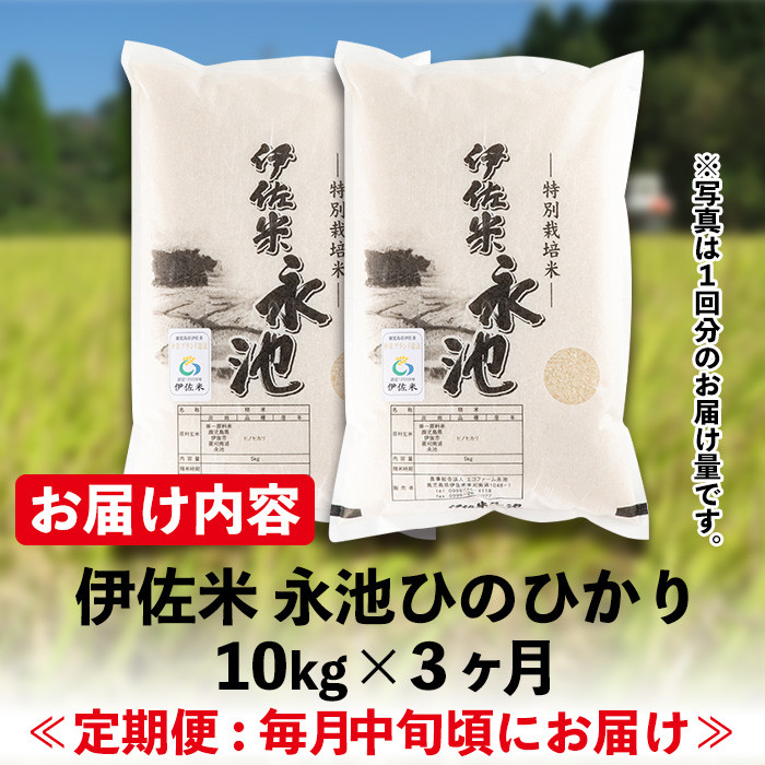 isa541 【定期便】令和6年産 新米 特別栽培米 伊佐米永池ひのひかり(計30kg・10kg×3ヶ月) 鹿児島 伊佐市 永池 お米 米 白米 精米 伊佐米 食味コンテスト 最優秀賞受賞 ヒノヒカリ【エコファーム永池】