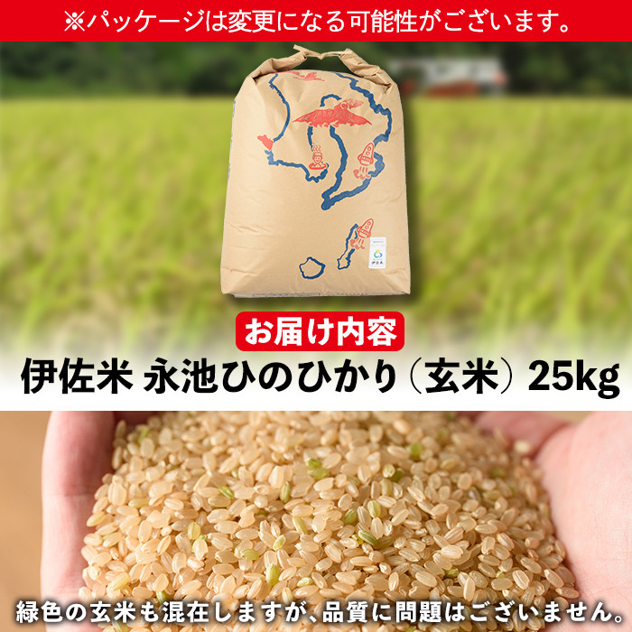 isa200 令和6年産 新米 特別栽培米 永池ひのひかり玄米(25kg) ふるさと納税 伊佐市 特産品 鹿児島 永池 お米 米 玄米 伊佐米 九州米サミット 食味コンテスト 最優秀賞受賞 ヒノヒカリ【エコファーム永池】