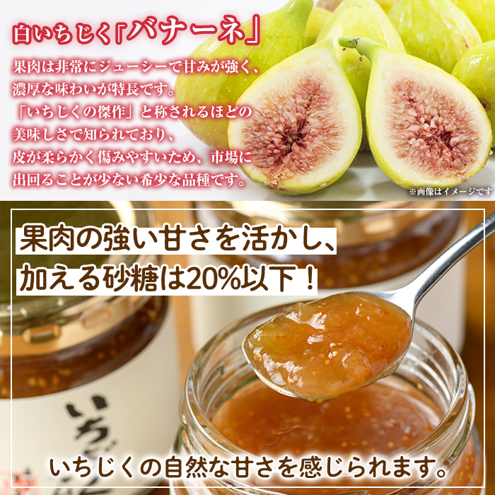 isa799 いちじくジャムセット(計450g・150g×3個) 無花果 白いちじく バナーネ バローネ 加工食品 果物 フルーツ 果肉 低糖 ハンドメイド 【工房ゆう】