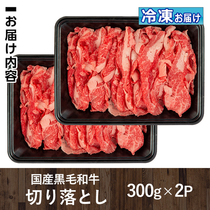 isa508 国産黒毛和牛 切り落とし(計600g・300g×2P)国産 牛 牛肉 肉 BBQ 炒め物 冷凍 冷凍便 詰め合わせ【お肉の直売所 伊佐店】