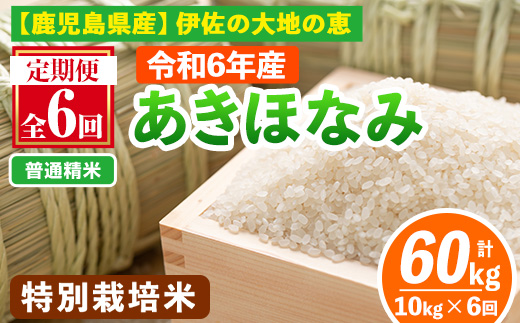 isa616-A 【定期便6回】 ＜普通精米＞令和6年産 鹿児島県伊佐産 特別栽培あきほなみ(計60kg・10kg×6ヵ月) 国産 白米 精米 伊佐米 お米 米 生産者 定期便 あきほなみ アキホナミ 新米 特別栽培米【Farm-K】