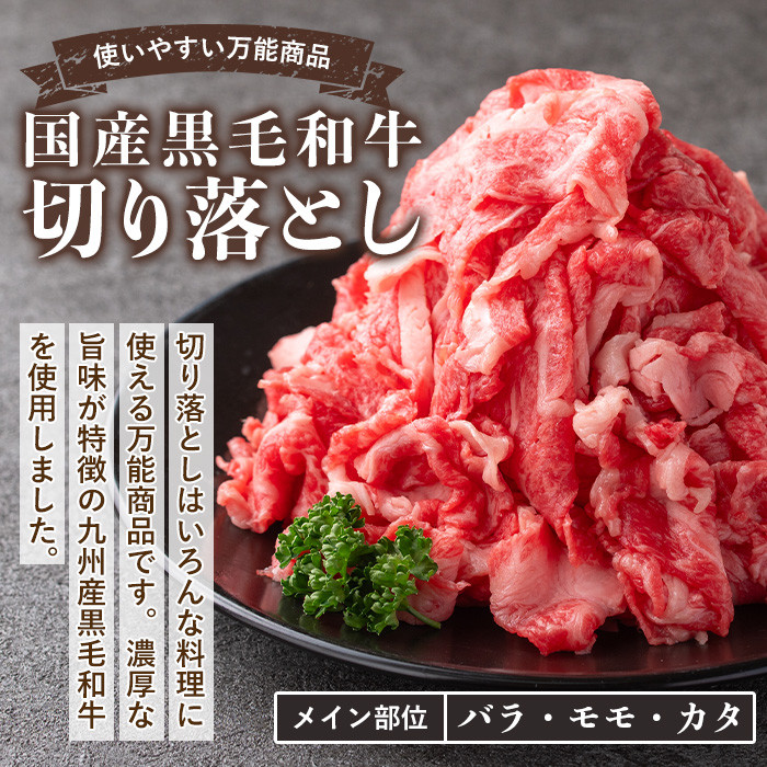 isa508 国産黒毛和牛 切り落とし(計600g・300g×2P)国産 牛 牛肉 肉 BBQ 炒め物 冷凍 冷凍便 詰め合わせ【お肉の直売所 伊佐店】