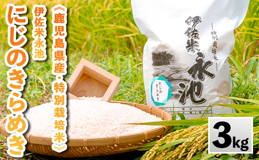isa744 《数量限定》令和7年産 特別栽培米 伊佐米永池 にじのきらめき(3kg) 伊佐市 永池 特産品 お米 米 白米 精米 伊佐米 にじのきらめき 3kg 【エコファーム永池】