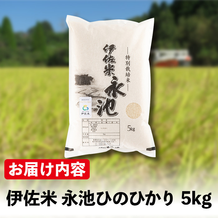 Z7-01 令和6年産 新米 特別栽培米 永池ひのひかり(5kg) ふるさと納税 伊佐市 特産品 鹿児島 永池 お米 米 白米 精米 伊佐米 九州米サミット 食味コンテスト 最優秀賞受賞 ヒノヒカリ【エコファーム永池】