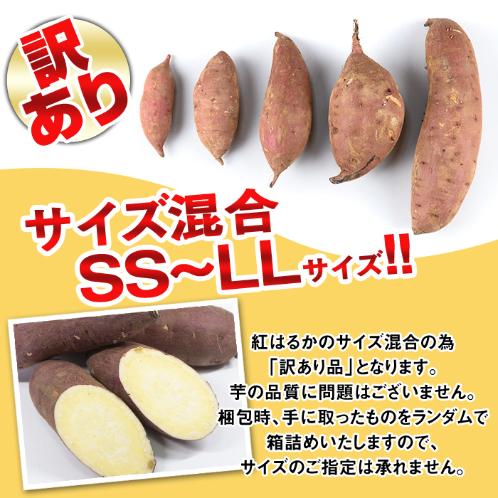 isa877 《訳あり》熟成紅はるか(約10kg・SS～LLサイズ混合) 訳あり さつまいも 紅はるか 鹿児島 生芋 完熟 長期熟成 土付き べにはるか サツマイモ 焼き芋に 【いさ工房】