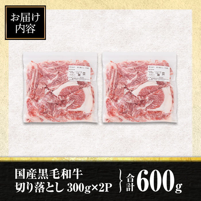 isa694 〈10営業日以内に発送〉黒毛和牛切り落とし (合計600g・300g×2P) 国産 真空包装 真空パック ファスナー 小分け 切落とし 牛 うし 牛肉 アウトドア BBQ 冷凍 【サンキョーミート株式会社】