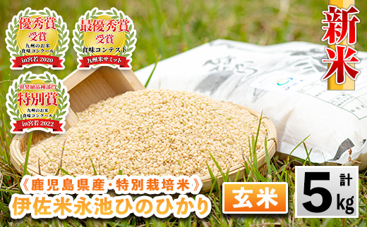 isa400 令和6年産 新米 特別栽培米 永池ひのひかり玄米(5kg) ふるさと納税 伊佐市 特産品 鹿児島 永池 お米 米 玄米 伊佐米 九州米サミット 食味コンテスト 最優秀賞受賞 ヒノヒカリ【エコファーム永池】