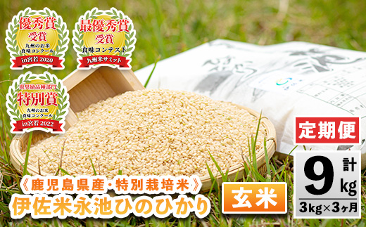 isa536 【定期便】令和6年産 特別栽培米 永池ひのひかり玄米(計9kg・3kg×3ヶ月) 鹿児島 永池 お米 米 玄米 伊佐米 九州米サミット 食味コンテスト 最優秀賞受賞 ヒノヒカリ【エコファーム永池】