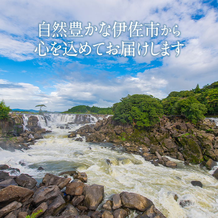 isa748 曽木の滝 なりざわ特製 鯉こく・鯉あらい・ニジマスの塩焼きセット(各2食) 鯉こく 鯉あらい ニジマス 塩焼き 川魚料理 川魚 郷土料理 和食 【やさしいまち】