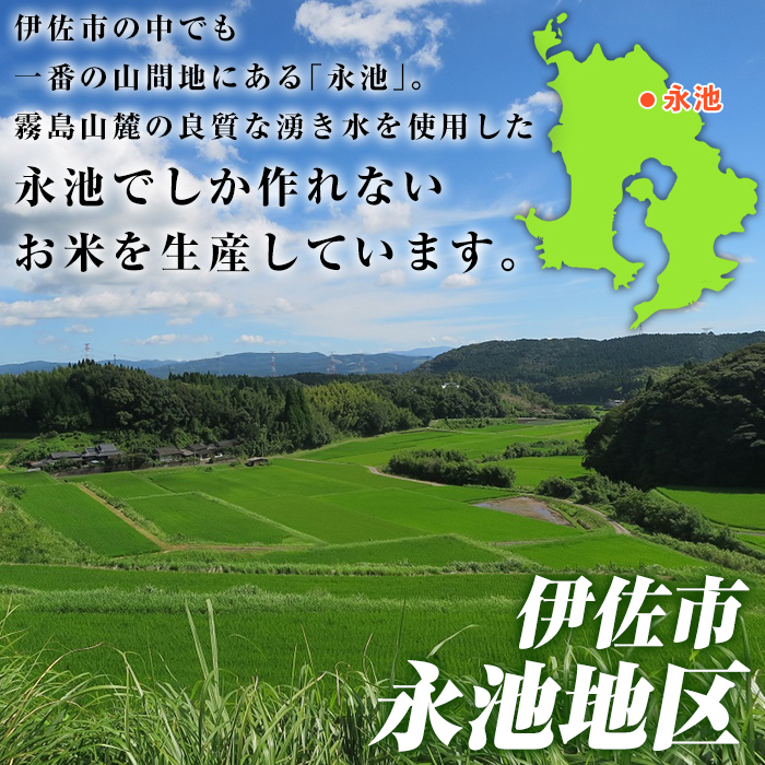 isa744 《数量限定》令和7年産 新米 特別栽培米 伊佐米永池 にじのきらめき(3kg) 伊佐市 永池 特産品 お米 米 白米 精米 伊佐米 にじのきらめき 3kg 【エコファーム永池】