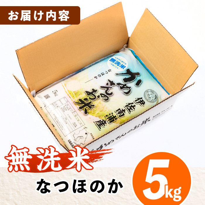 isa277 《数量限定》かめさんのお米(5kg・なつほのか・無洗米) ふるさと納税 伊佐市 特産品 国産 白米 精米  無洗米 伊佐米 お米 米 生産者 新米【Farm-K】