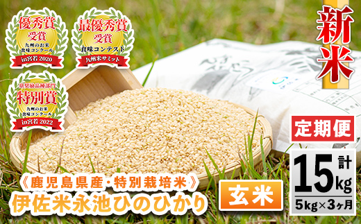 isa537 【定期便】令和6年産 新米 特別栽培米 永池ひのひかり玄米(計15kg・5kg×3ヶ月) 鹿児島 永池 お米 米 玄米 伊佐米 九州米サミット 食味コンテスト 最優秀賞受賞 ヒノヒカリ【エコファーム永池】