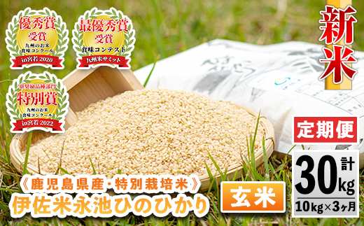 isa538 【定期便】令和6年産 新米 特別栽培米 永池ひのひかり玄米(計30kg・10kg×3ヶ月) 鹿児島 永池 お米 米 玄米 伊佐米 九州米サミット 食味コンテスト 最優秀賞受賞 ヒノヒカリ【エコファーム永池】