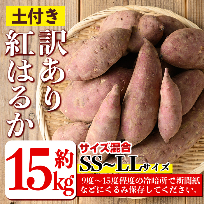 isa878 《訳あり》熟成紅はるか(約15kg・SS～LLサイズ混合) 訳あり さつまいも 紅はるか 鹿児島 生芋 完熟 長期熟成 土付き べにはるか サツマイモ 焼き芋に 【いさ工房】