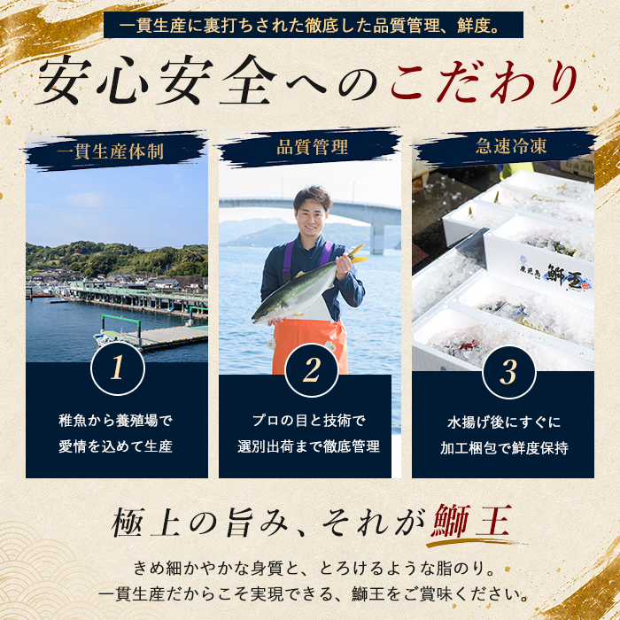 【冷凍】ぶりの王様「 鰤王 」お試しスキンレスロインハーフ 4P入り【鰤王しょう油付】 ぶり ブリ 鰤 ぶりしゃぶ たたき 産地直送 新鮮 旨味が抜群の 長島町 特産品【JFA】jfa-1680B