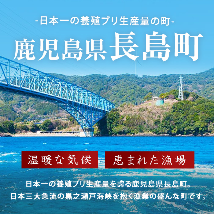 【皮なし】鰤の切り身（約1.0kg）【株式会社島水】shimasui-7290