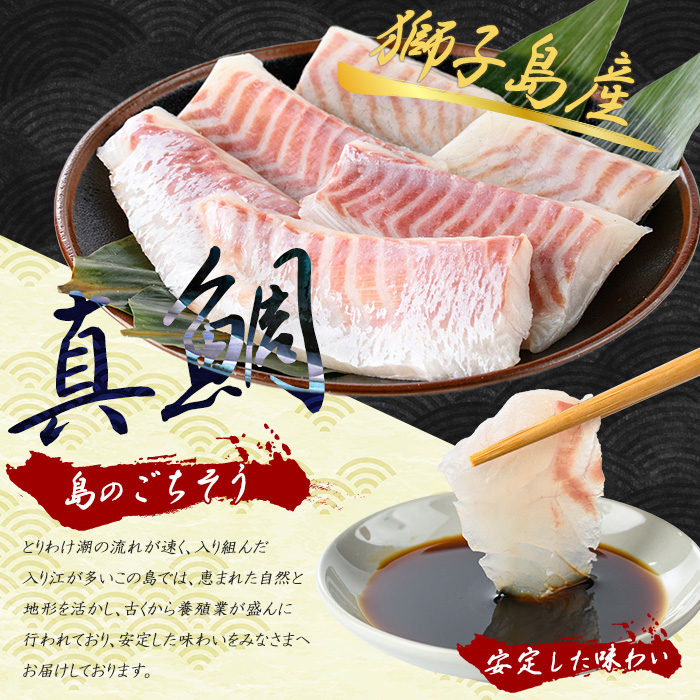 獅子島産 百年漁師の真鯛 お刺身用サク (約100g×6パック) 【島のごちそう】gochi-7053R8