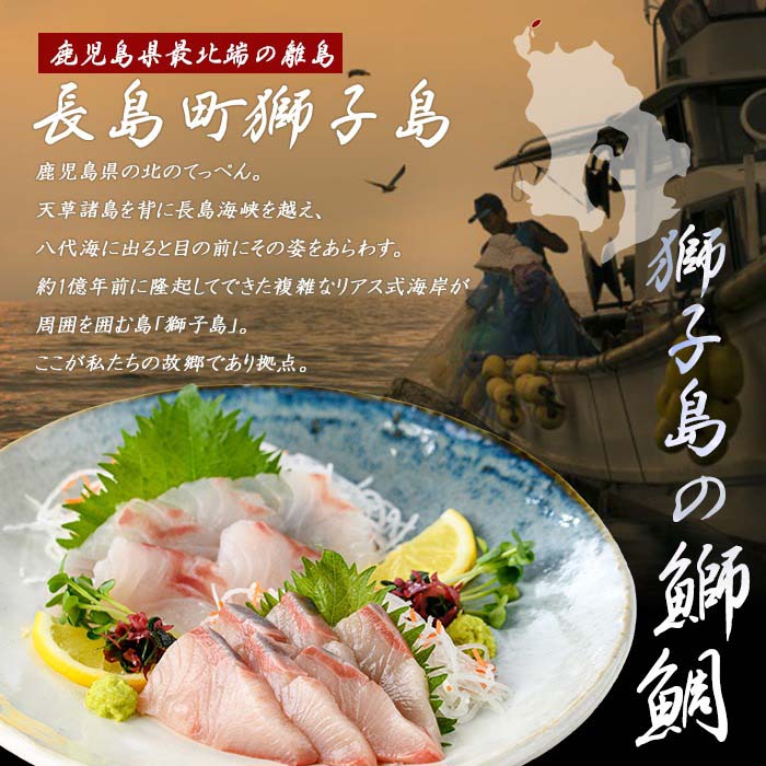 獅子島産 百年漁師の鰤 お刺身用サク (約150g×4パック) 【島のごちそう】gochi-7042R8
