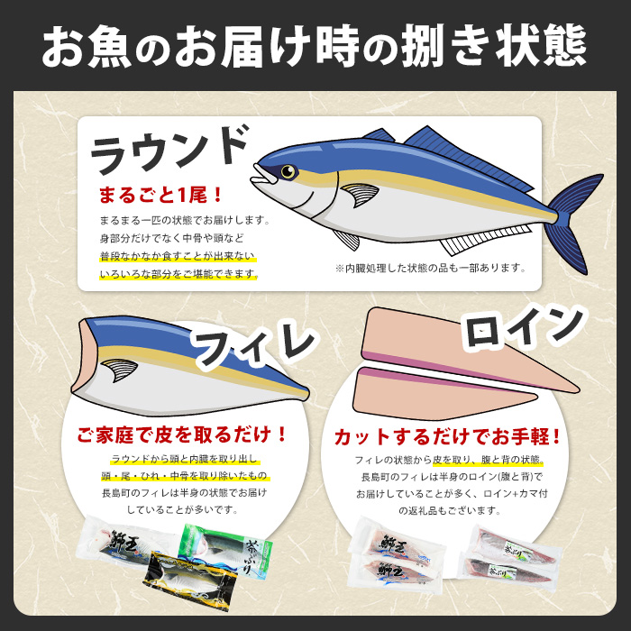 茶ぶり 1尾（内臓処理済　約4kg） セミドレス (えら・内臓除去済み) ぶり 柵 刺身 ブリ 切り身 鰤 1本 鮮魚 下処理済み 鮮魚 1匹 刺身 ぶりしゃぶ ぶりかま 【ウスイ】usui-6120R7