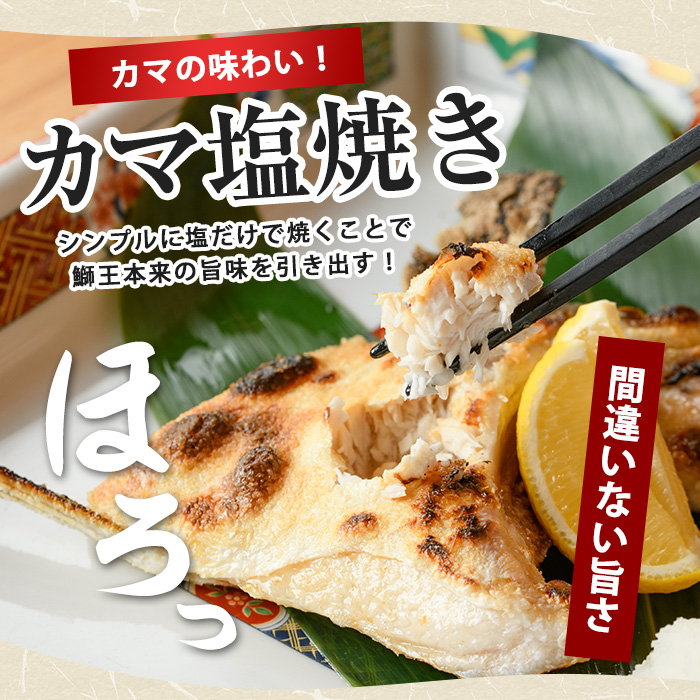 【14日前後で順次発送】【切って盛るだけ】『旅サラダ』で紹介ぶりの王様「 鰤王 」 ロイン 2節 (約0.8kg〜1.0kg) 半身 産地直送 新鮮 旨味が抜群の 長島町 特産品 ブランド ぶり 鰤 ブリ 切り身 真空 冷蔵 刺身 ぶりしゃぶ しゃぶしゃぶ 魚 魚介 人気 ランキング 【JFA】jfa-1484