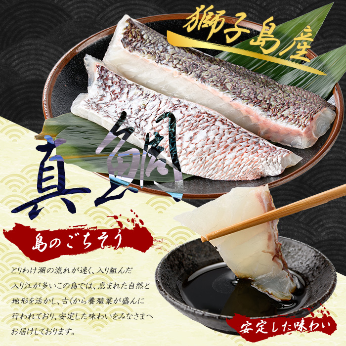 獅子島産 百年漁師の真鯛 皮付きロイン2パック (半身分) 【島のごちそう】gochi-7051R8