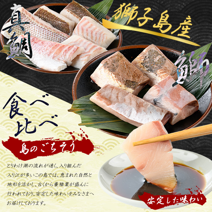 百年漁師の海産物 詰め合わせ【島のごちそう】gochi-7061R8