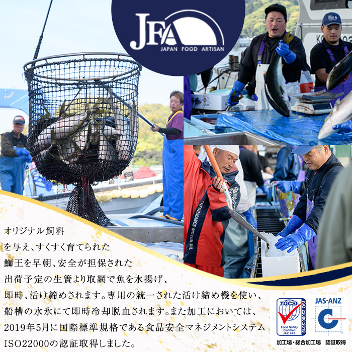 テレビで紹介されました！長島町特産「鰤王」早生鰤王ラウンド(約3.5kg・まるごと1本)【JFA】jfa-1227