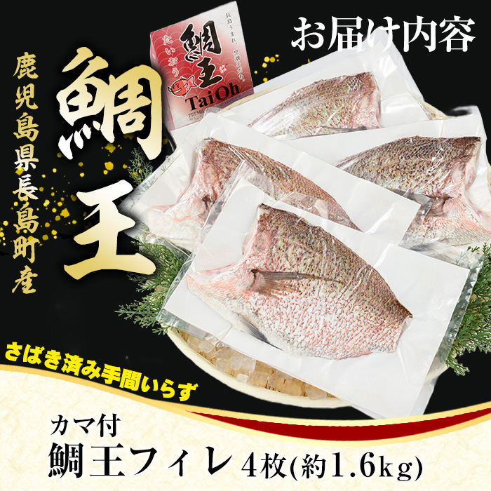 長島町特産「鯛王」 フィレ 半身 4枚入り カマ付 (約1.6kg) 産地直送 新鮮 旨味が抜群の 長島町 特産品 ブランド 刺身 鯛めし 鯛茶漬け 鯛しゃぶ 鯛刺身 鮮魚 冷蔵 【JFA】jfa-1356