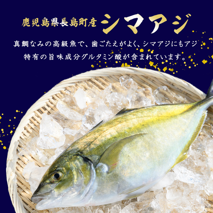 鹿児島県長島町産 シマアジ (約1.0kg・1匹) シマアジ 鹿児島 鮮魚 一匹 柵 刺身 切り身 高級あじ 高級魚【JFA】jfa-4121