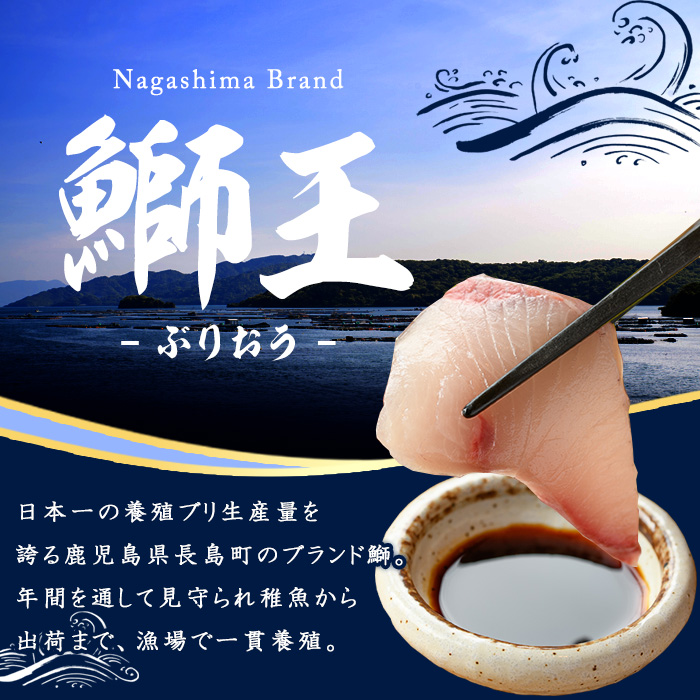 テレビで紹介されました！長島町特産「鰤王」早生鰤王ラウンド(約3.5kg・まるごと1本)【JFA】jfa-1227