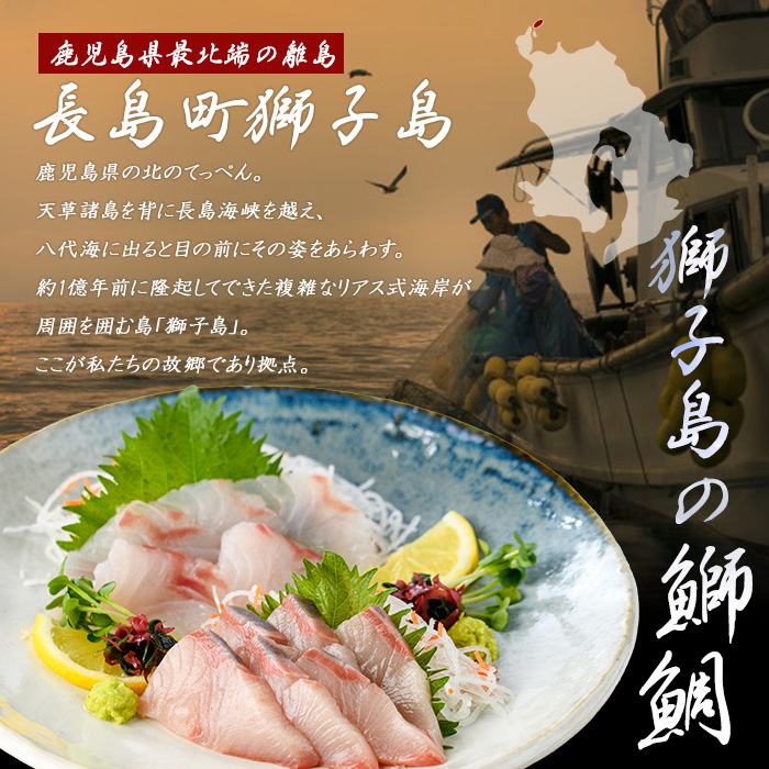 獅子島産 百年漁師の鰤 カマ (2対) 4個【島のごちそう】gochi-7048R8