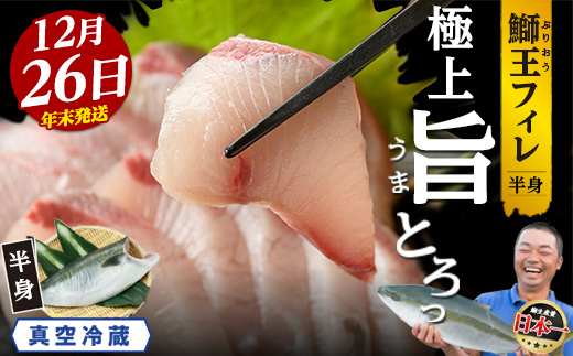 ＼年末発送 先行予約／＜数量限定＞【2026年12月26日発送】『旅サラダ』で紹介ぶりの王様「 鰤王 」 フィレ 半身 (約1.2〜1.5kg・フィレ1枚) 産地直送 新鮮 旨味が抜群の 長島町 特産品 ブランド ぶり 鰤 ブリ 切り身 真空 冷蔵 刺身 ぶりしゃぶ しゃぶしゃぶ 魚 魚介 人気 ランキング 年末年始発送【JFA】jfa-7006-26