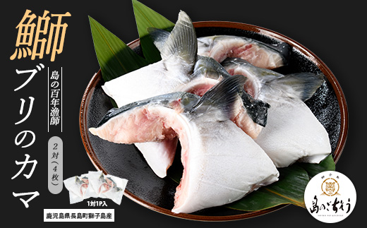 獅子島産 百年漁師の鰤 カマ (2対) 4個【島のごちそう】gochi-7048R8