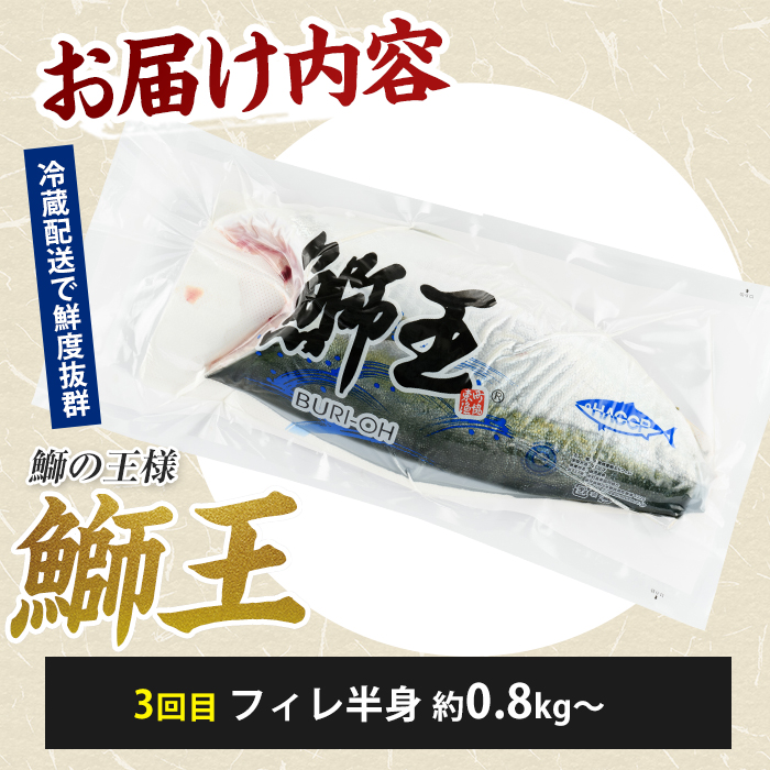 ＜定期便・毎月発送 全3回＞「鰤王」づくし 満喫定期便 鹿児島県 長島町 産産地直送 新鮮 ブランド ぶり 鰤 ブリ 切り身 刺身 ぶりしゃぶ しゃぶしゃぶ 魚 魚介 人気 ランキング【JFA】jfa-1682S