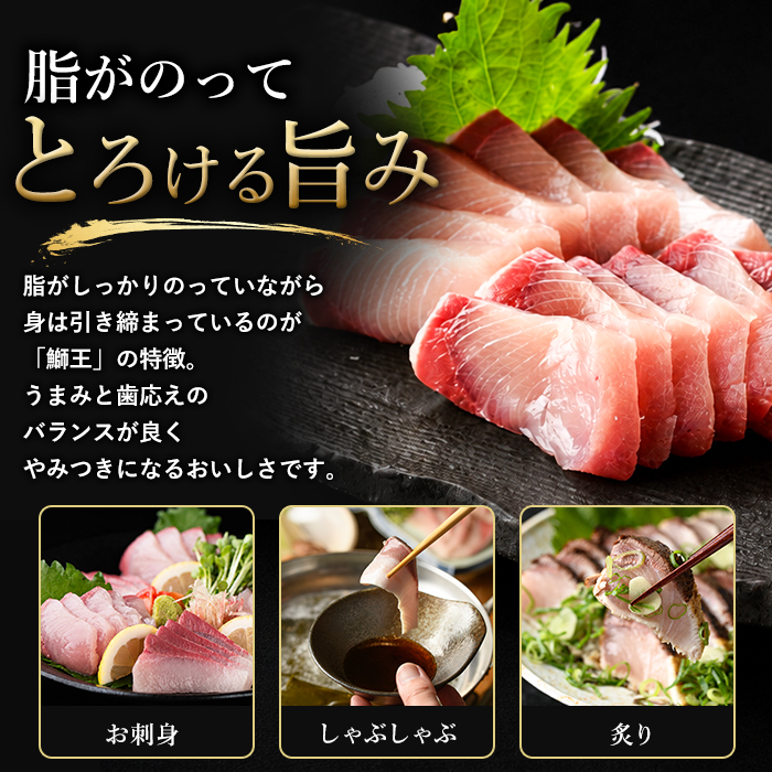 【冷凍】ぶりの王様「 鰤王 」お試しスキンレスロインハーフ 4P入り【鰤王しょう油付】 ぶり ブリ 鰤 ぶりしゃぶ たたき 産地直送 新鮮 旨味が抜群の 長島町 特産品【JFA】jfa-1680B