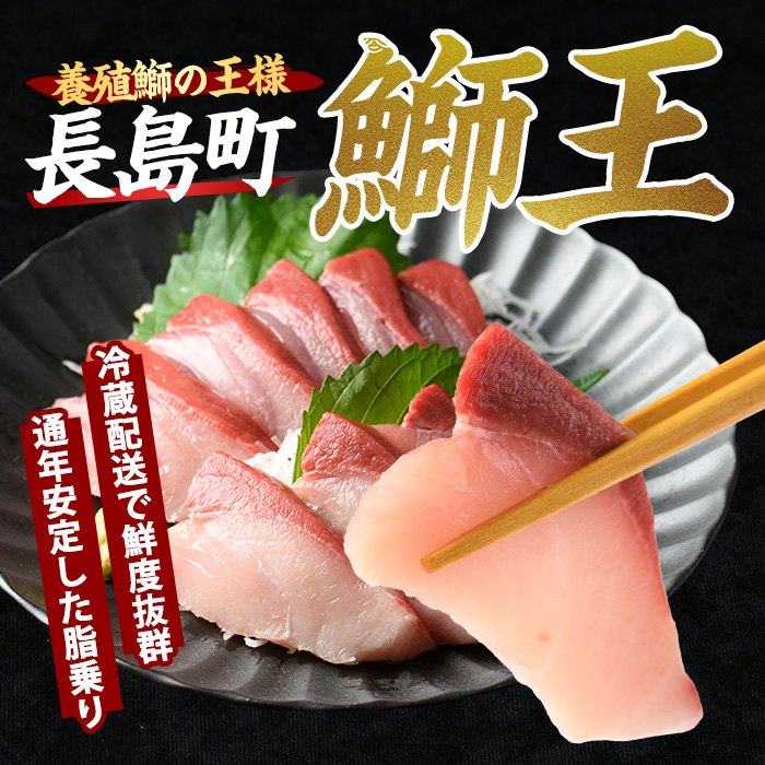 【14日前後で順次発送】【切って盛るだけ】『旅サラダ』で紹介ぶりの王様「 鰤王 」 ロイン 2節 (約0.8kg〜1.0kg) 半身 産地直送 新鮮 旨味が抜群の 長島町 特産品 ブランド ぶり 鰤 ブリ 切り身 真空 冷蔵 刺身 ぶりしゃぶ しゃぶしゃぶ 魚 魚介 人気 ランキング 【JFA】jfa-1484