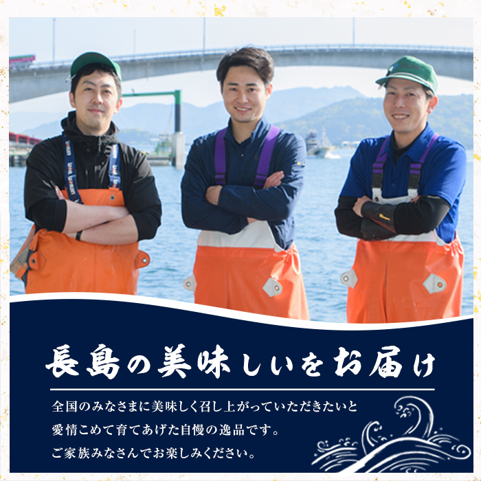 【先行予約 2025年10月より順次発送】【切って盛るだけ】『旅サラダ』で紹介ぶりの王様「 鰤王 」 ロイン 2節 (約0.8kg～1.0kg) 半身 産地直送 新鮮 旨味が抜群の 長島町 特産品 ブランド ぶり 鰤 ブリ 切り身 真空 冷蔵 刺身 ぶりしゃぶ しゃぶしゃぶ 魚 魚介 人気 ランキング 【JFA】jfa-1484