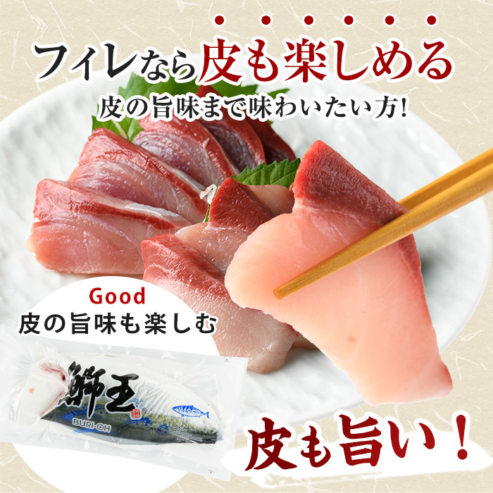 【期間限定特別寄附額+鰤王醤油付き】『旅サラダ』で紹介ぶりの王様「 鰤王 」 フィレ 半身 (約1.2〜・フィレ1枚) 産地直送 新鮮 旨味が抜群の 長島町 特産品 ブランド ぶり 鰤 ブリ 切り身 真空 冷蔵 刺身 ぶりしゃぶ しゃぶしゃぶ 魚 魚介 人気 ランキング 【JFA】jfa-1629