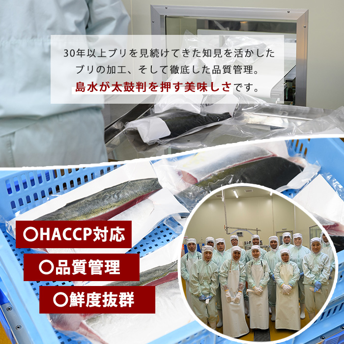 鰤の切り身（約1.0kg）【株式会社島水】shimasui-7289