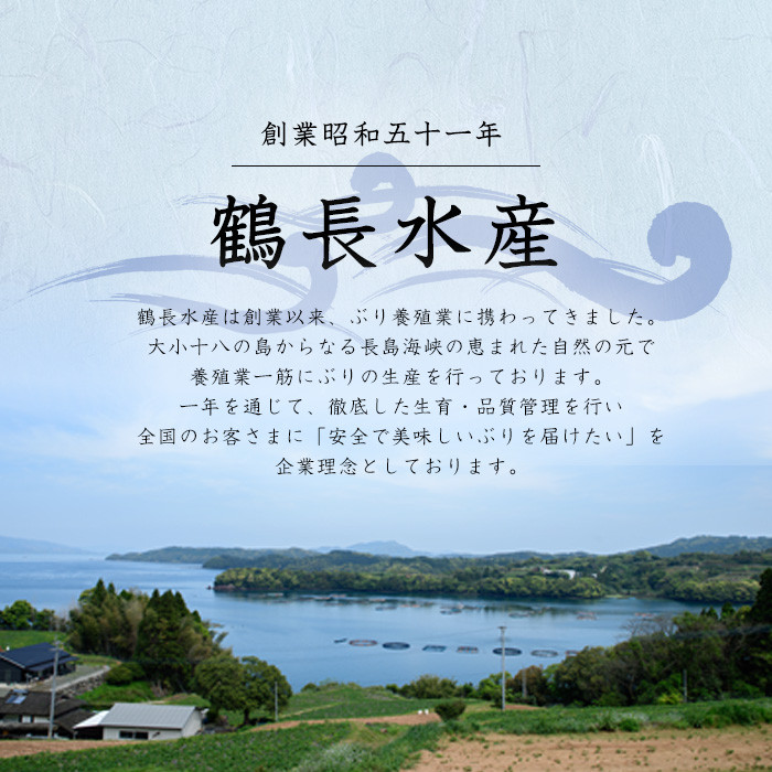 【12月28日出荷】ボンタンぶりまるごと一本(内臓処理済)  ぶり 柵 刺身 ブリ 切り身 鰤 1本 鮮魚 下処理済み 鮮魚 1匹 刺身 ぶりしゃぶ ぶりかま 【鶴長水産】turu-7314R8-12