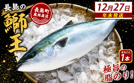 ＼年末発送 先行予約／【12月27日発送】鰤王ラウンド（約3.5㎏～）テレビで紹介ぶりの王様「 鰤王 」 まるごと 1本 ラウンド 先行予約 産地直送 長島町 特産品 ブランド 鰤 冷蔵 ふるさと納税 ぶり 刺身 ぶりしゃぶ ぶり大根 海鮮丼 年末年始発送 【JFA】jfa-7115-27