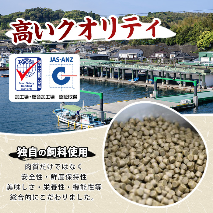 【14日前後で順次発送】【切って盛るだけ】『旅サラダ』で紹介ぶりの王様「 鰤王 」 ロイン 2節 (約0.8kg〜1.0kg) 半身 産地直送 新鮮 旨味が抜群の 長島町 特産品 ブランド ぶり 鰤 ブリ 切り身 真空 冷蔵 刺身 ぶりしゃぶ しゃぶしゃぶ 魚 魚介 人気 ランキング 【JFA】jfa-1484
