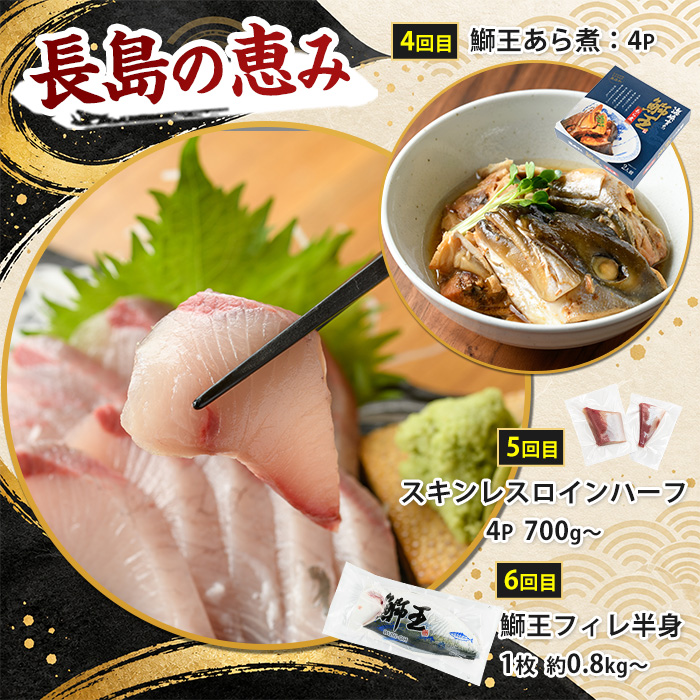 ＜定期便・毎月発送 全6回＞「鰤王」を味わいつくす定期便 鹿児島県 長島町 産産地直送 新鮮 ブランド ぶり 鰤 ブリ 切り身 刺身 ぶりしゃぶ しゃぶしゃぶ 魚 魚介 人気 ランキング 鰤カツ 漬け魚 漬け丼 鰤大根 あら煮【JFA】jfa-1683S